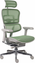 Fotel biurowy Ergohuman 2 Elite GS Green -