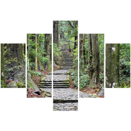 Obraz Japońska ścieżka przez las