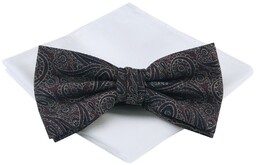 Mucha Męska z Poszetką - Chattier - Bordo,