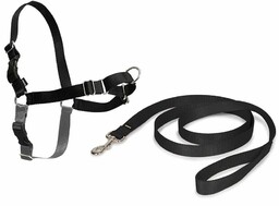 PetSafe Uprząż EasyWalk czarny XL