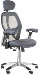 Fotel ergonomiczny CorpoComfort BX-4144 Szary