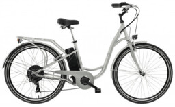 Rower elektryczny SKYMASTER Energy Eco 28 Light Grey