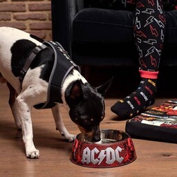 Miska AC/DC