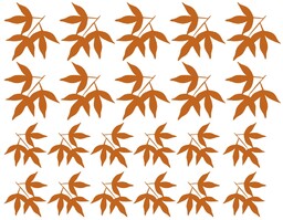 naklejka liść 5 zestaw Liście w zestawie