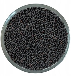 Nasienie wakarii chińskiej Semen Vaccariae 500g