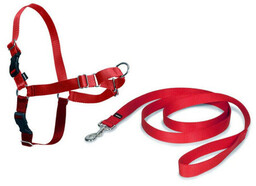 PetSafe Uprząż EasyWalk czerwona L