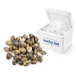 Małże Wenus lirowate Vongole 1kg