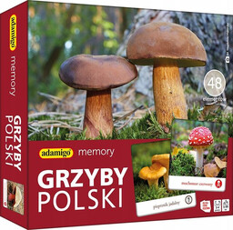 Adamigo memory gra planszowa Grzyby Polski