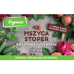 Mszyca Stoper - 100 larw biedronki dwukropki