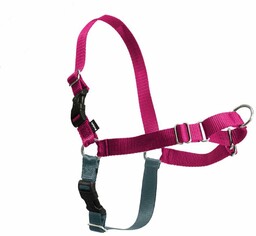 PetSafe Szelki EasyWalk malinowy M
