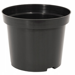 Doniczka produkcyjna twarda czarna 16cm 2L 100szt