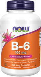 Now Foods B-6, witamina B6 100 mg, 250