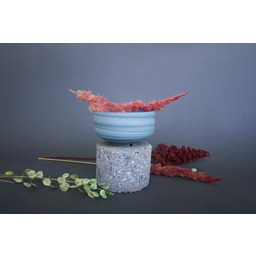 Pakamera Niebieska czarka COLORIZED