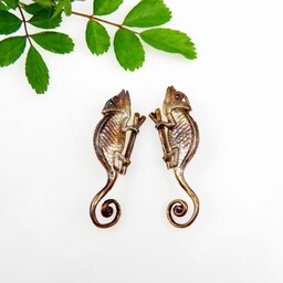 Klipsy srebrne - Kameleony brązowe