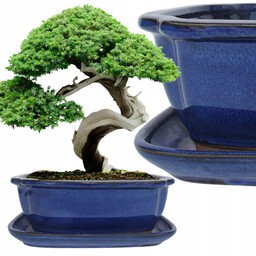 Donica Do Bonsai Z Podstawką Ceramiczna Szkliwiona Niebieska