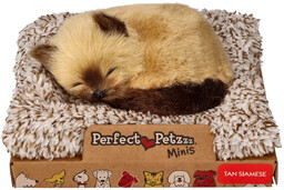 Perfect Petzzz Mały kociak syjamski