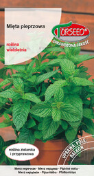 Mięta Mentha piperita 0,1g