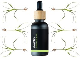 Calamus - 100% naturalny olejek eteryczny (10ml)