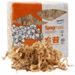 Mech Sphagnum 40L Besgrow Spagmoss Blended torfowiec 500G