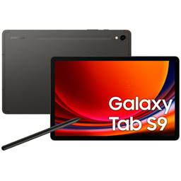 Tablet SAMSUNG Galaxy Tab S9 5G (8+128GB) Szary