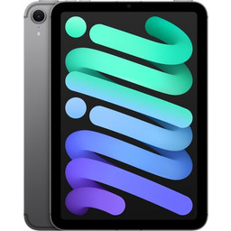 Apple iPad mini 256GB Wi-Fi + Cellular Gwiezdna