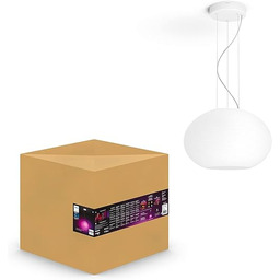Philips Hue Flourish White and Color Ambiance Lampa