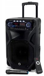 Głośnik Manta SPK5021PRO 80W Bluetooth czarny
