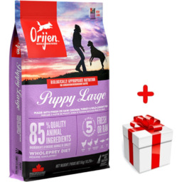 Orijen Dog Puppy Large 6kg