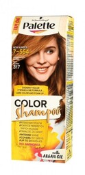 Palette Color Shampoo Szampon koloryzujący nr 317 Orzechowy