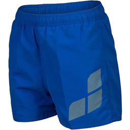 Arena Boys'' Beach Short Logo R Swim Trunks