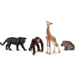 Schleich - Zestaw bsico Wild Life - 72162