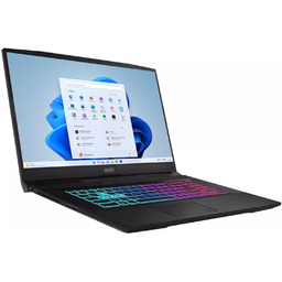 MSI Katana 17 B13UCRK-1603PL - i5-13420H 17,3'' 32GB