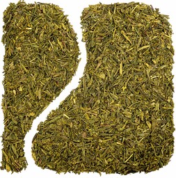 Herbata zielona China sencha standard (Torba 1 kg,
