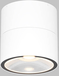 Maytoni Lampa nasufitowa Spin O310CL-L12W3K LED 12W 3000K