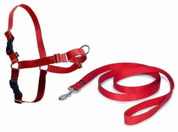 PetSafe Uprząż EasyWalk czerwona S
