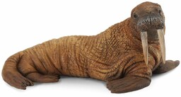 Collecta - 3388569 - Figurka - Zwierzęta morskie