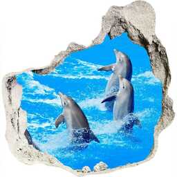 Dziura 3d fototapeta na ścianę naklejka Delfiny