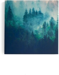 Panel akustyczny IMAGE, poranna rosa, część 1, 800x800
