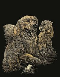 Royal & Langnickel Złoty retriever zestaw artystyczny