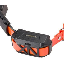 Obroża z paskiem Canicom GPS mini bez impulsu