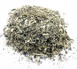 Topinambur Ziele Topinamburu 1 Kg Naturalny