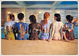 Pink Floyd (tylny katalog) muzyka maxi plakat wydruk