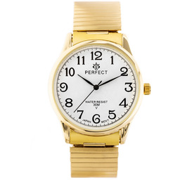 ZEGAREK MĘSKI PERFECT X421 (zp331b) - gumka