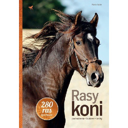 Rasy koni