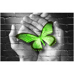 Obraz Green Butterfly motyl dłoń cegła