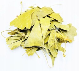 Miłorząb Dwuklapowy Liść Ginkgo Biloba 1 Kg 100%