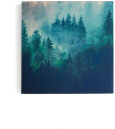 Panel akustyczny IMAGE, poranna rosa, część 2, 800x800