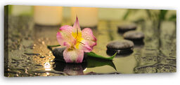 Obraz na płótnie, Orchidea Kamienie Zen 120x40