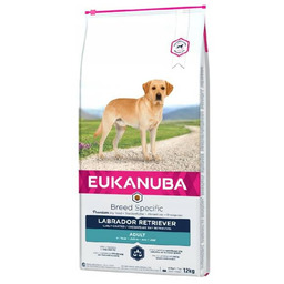 Eukanuba Dog Dry Breed Specific All Labrador Retriever