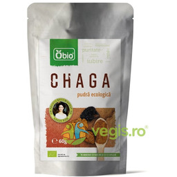 Chaga Proszek Ekologiczny/Bio 60g